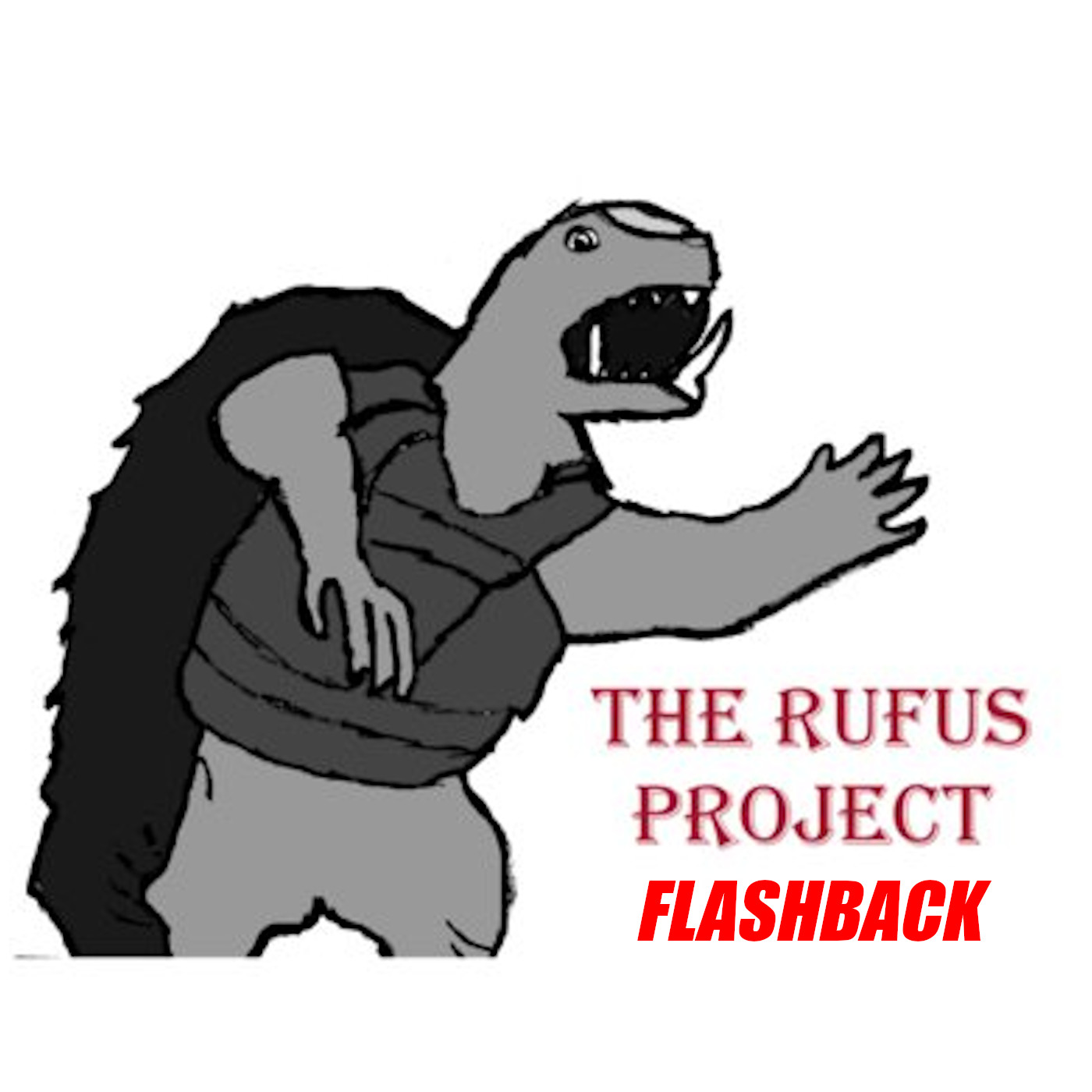 Rufus Project Flashback